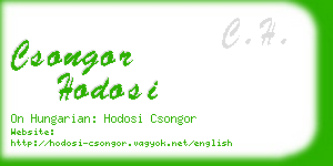 csongor hodosi business card